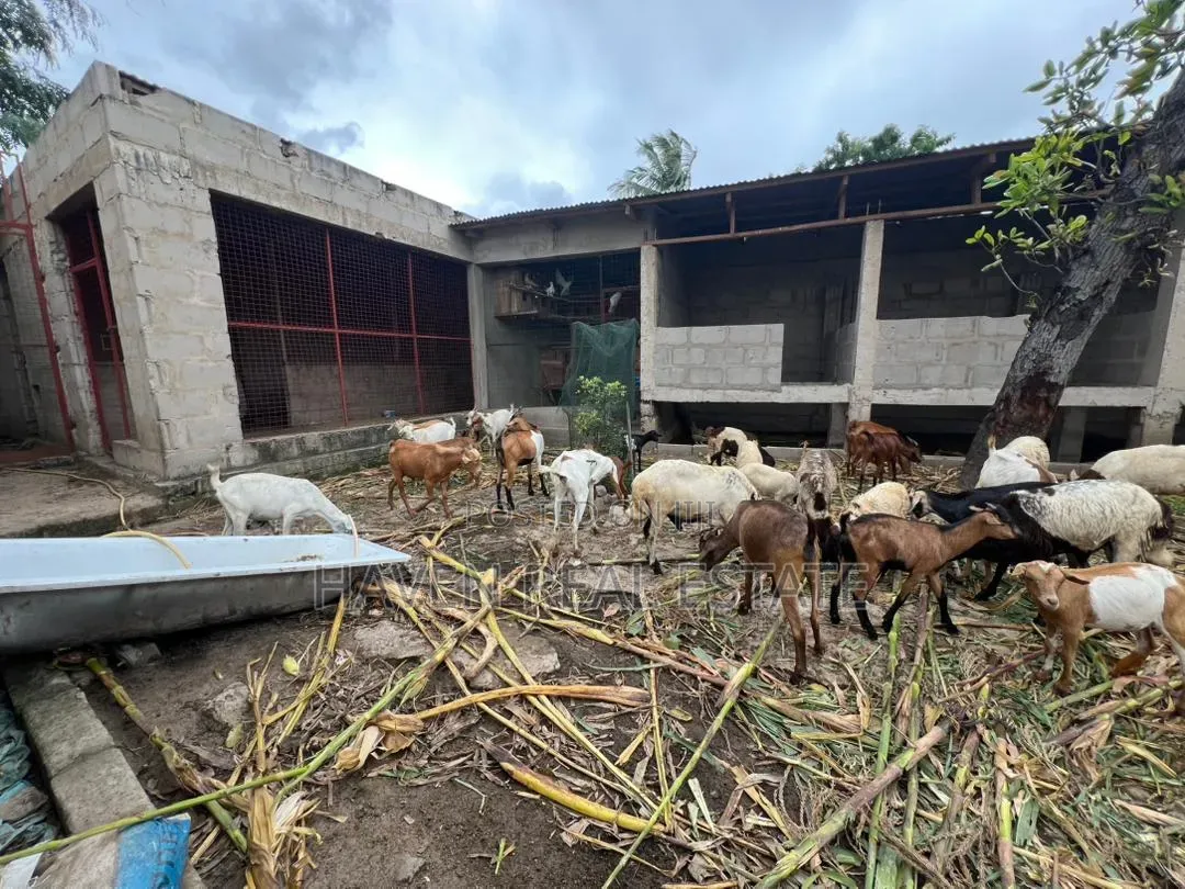 Eneo La Uwekezaji 1 Acre Linauzwa Kibada Shangwe