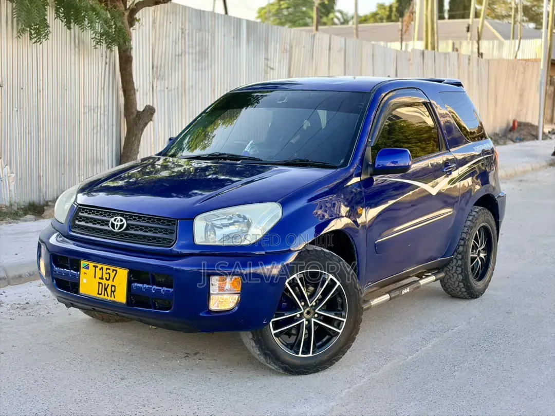 Toyota RAV4 2005 Blue