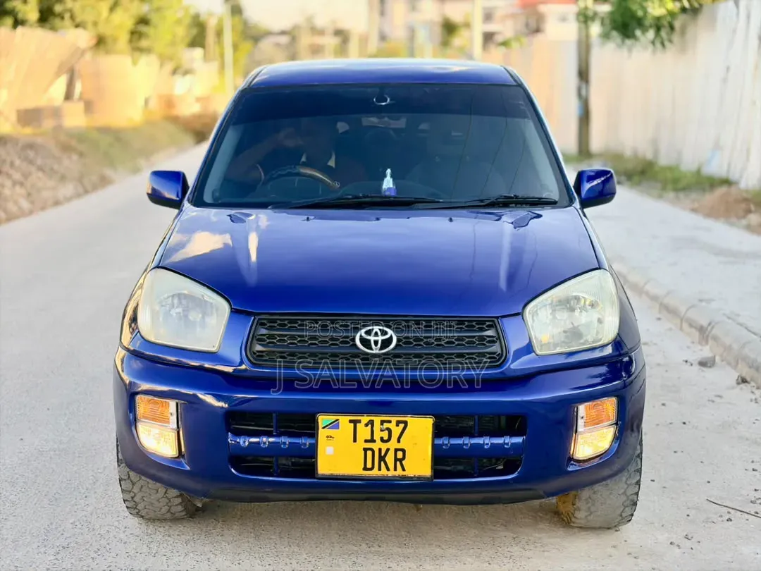 Toyota RAV4 2005 Blue
