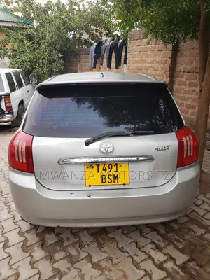 Toyota Allex 2005 Silver