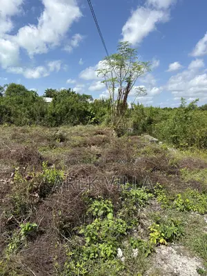 Prime Land for Sale in Zanzibar
