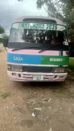 Toyota Coaster 2002 Pink