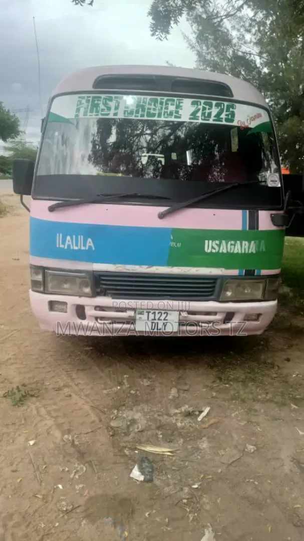 Toyota Coaster 2002 Pink
