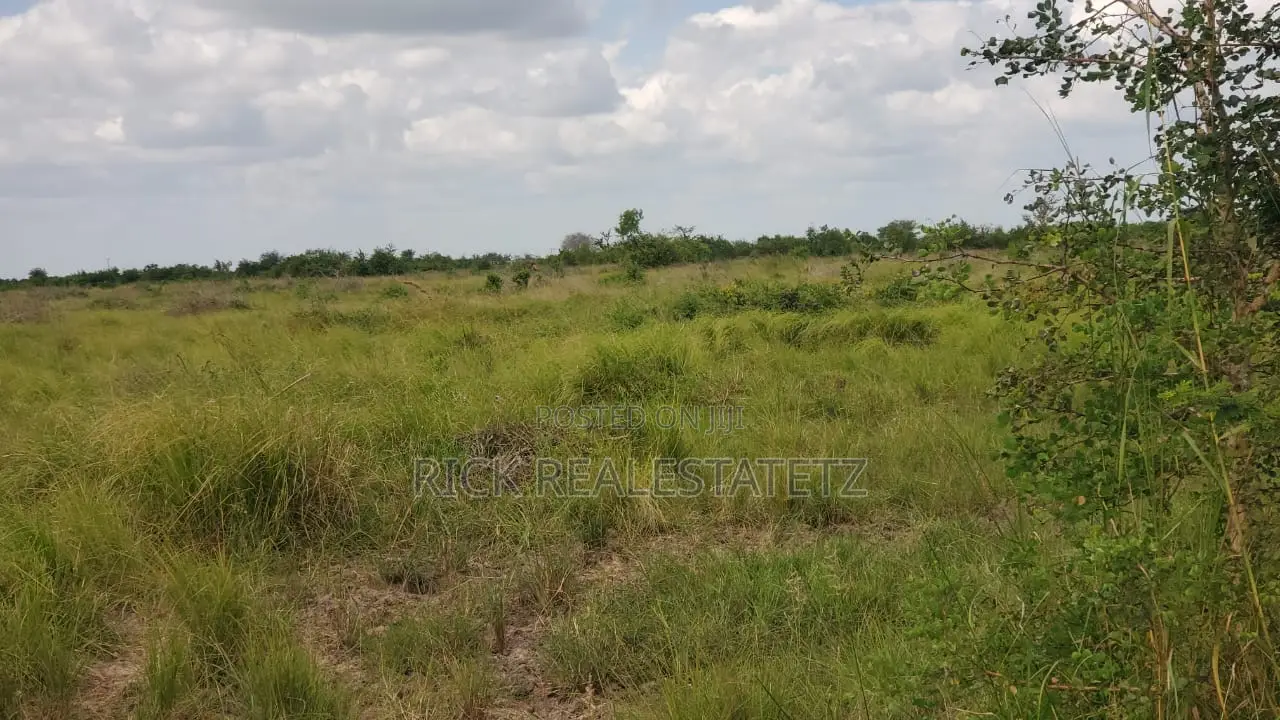 Shamba La Heka Kumi Na Tano (15) Linauzwa Bagamoyo - Makurunge