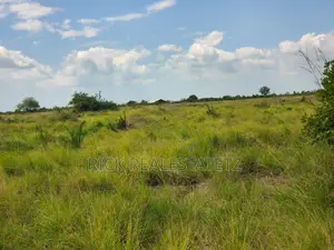 Shamba La Heka Kumi Na Tano (15) Linauzwa Bagamoyo - Makurunge