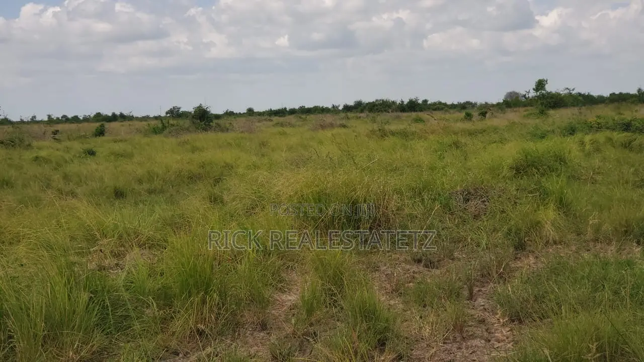 Shamba La Heka Kumi Na Tano (15) Linauzwa Bagamoyo - Makurunge