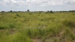 Shamba La Heka Kumi Na Tano (15) Linauzwa Bagamoyo - Makurunge