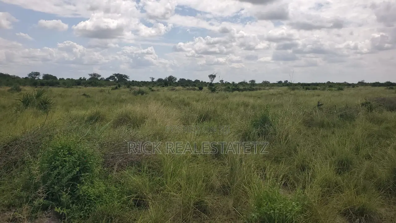 Shamba La Heka Kumi Na Tano (15) Linauzwa Bagamoyo - Makurunge