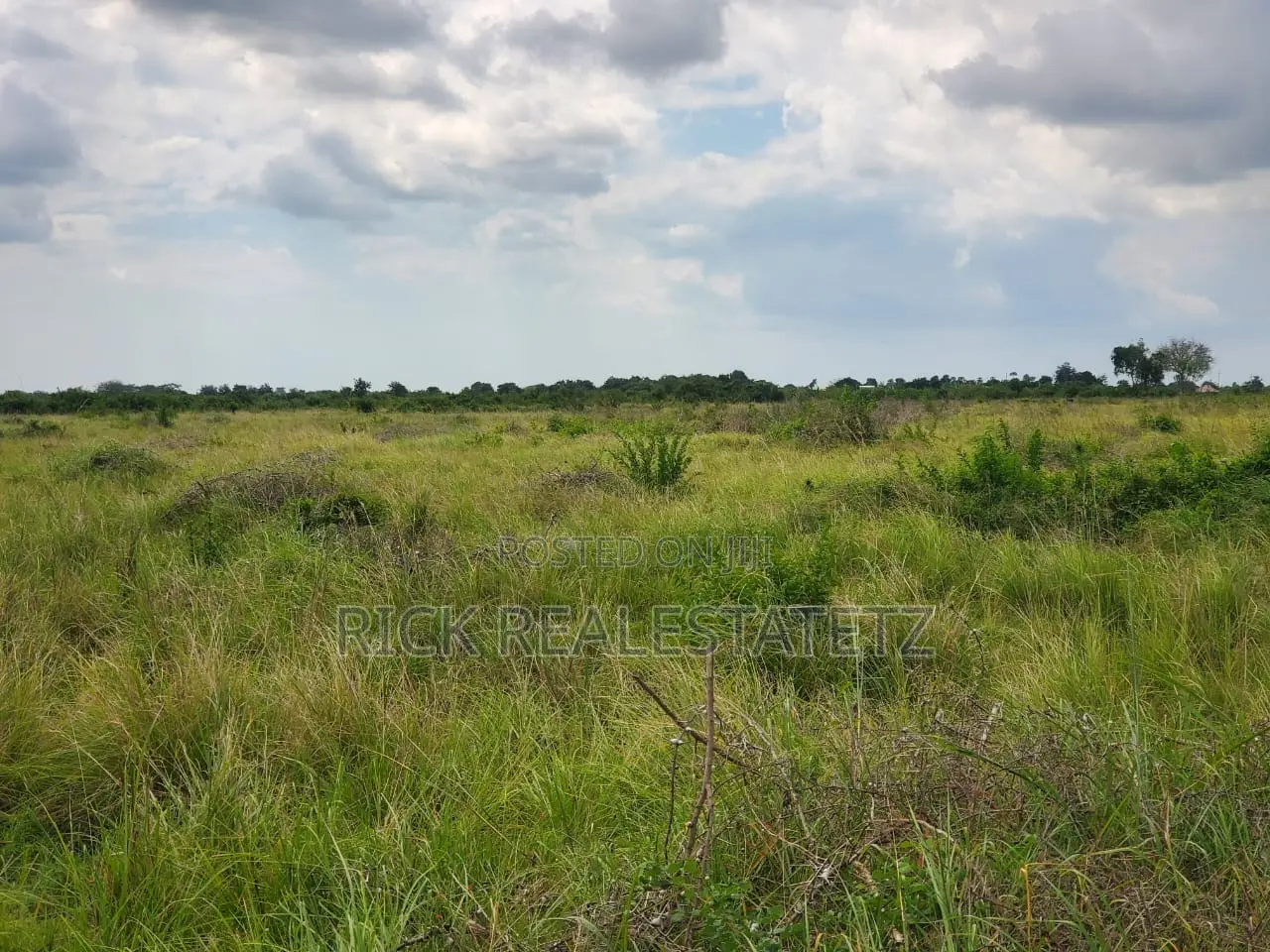 Shamba La Heka Kumi Na Tano (15) Linauzwa Bagamoyo - Makurunge
