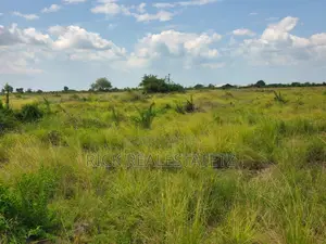 Shamba La Heka Kumi Na Tano (15) Linauzwa Bagamoyo - Makurunge
