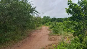 Shamba Linauzwa Mbwewe Chalinze Pwani