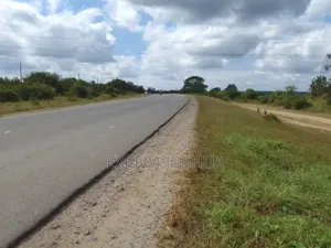 Eneo Limegusa Main Road Linauzwa Kiwangwa Bagamoyo