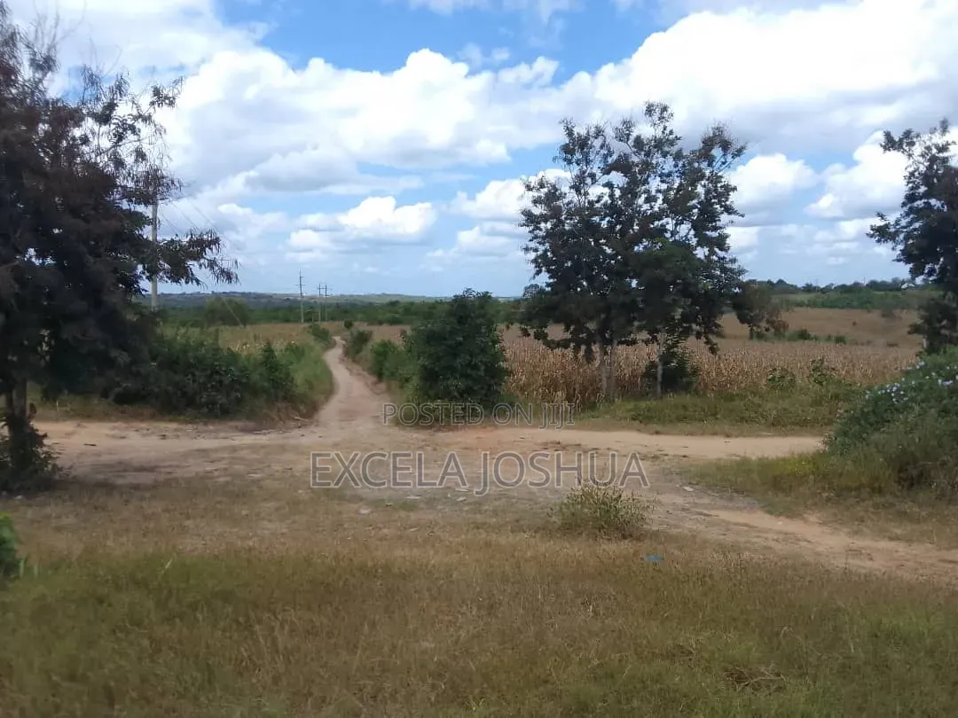 Eneo Limegusa Main Road Linauzwa Kiwangwa Bagamoyo