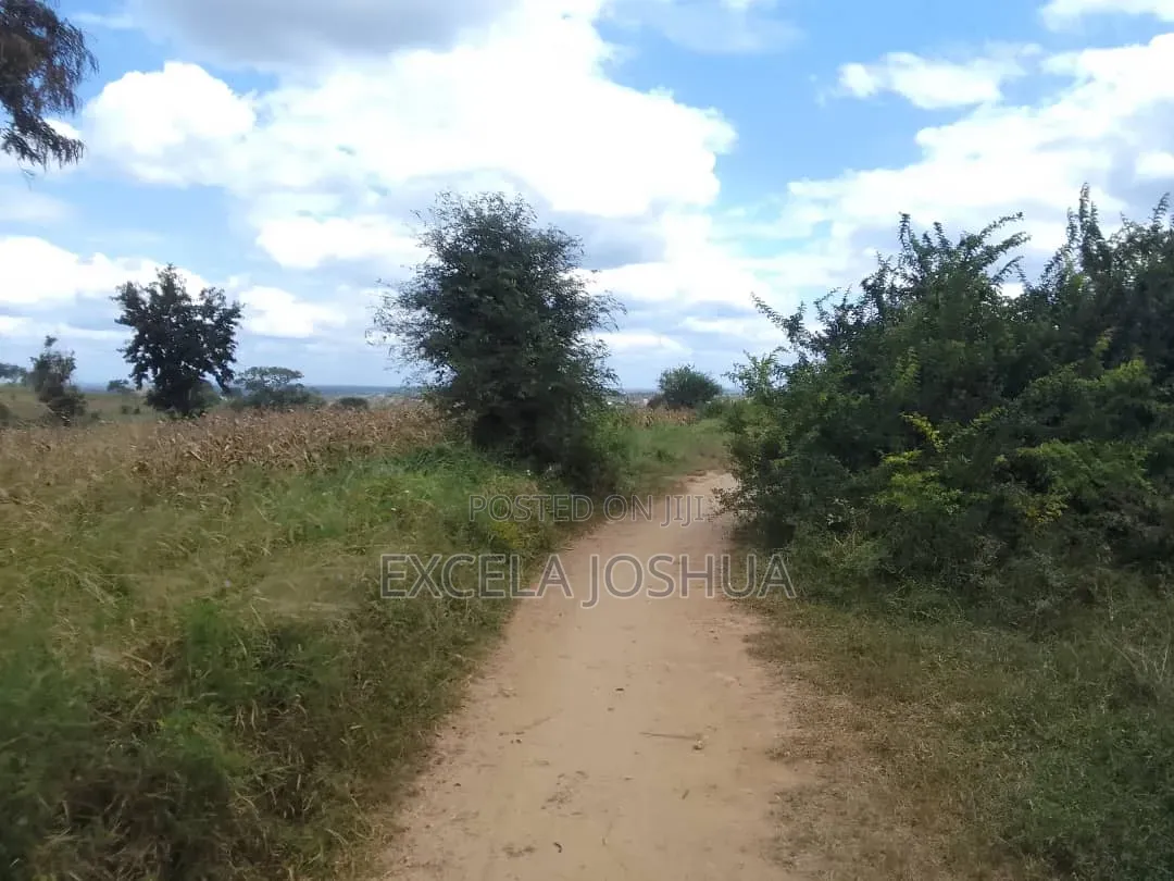Eneo Limegusa Main Road Linauzwa Kiwangwa Bagamoyo