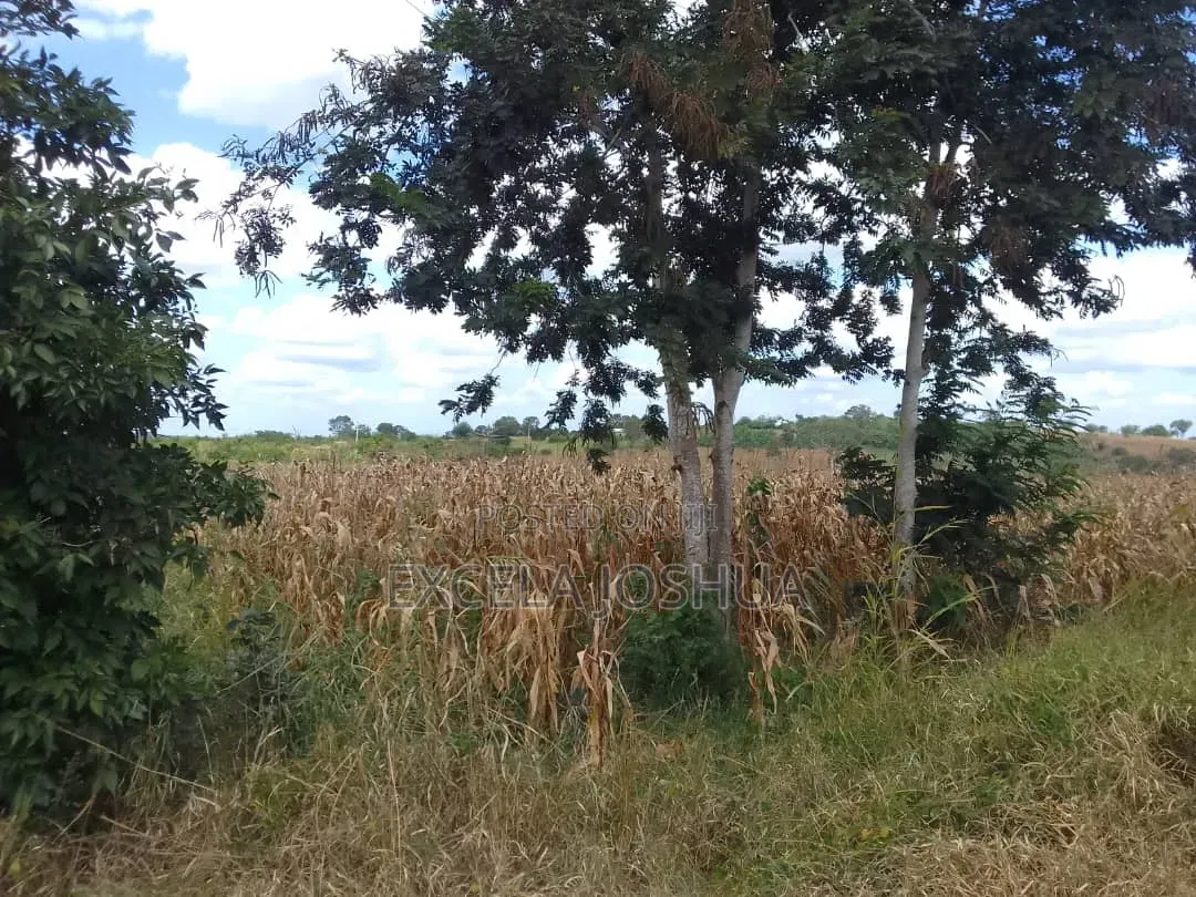 Eneo Limegusa Main Road Linauzwa Kiwangwa Bagamoyo