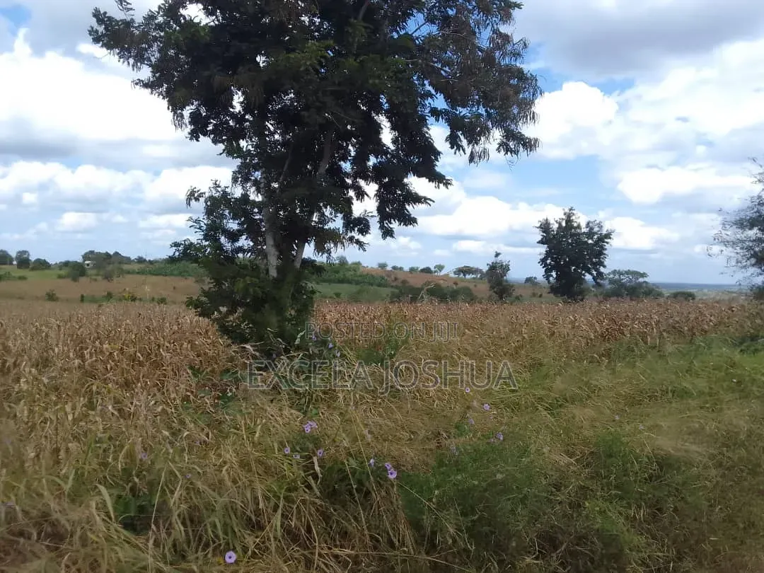 Eneo Limegusa Main Road Linauzwa Kiwangwa Bagamoyo