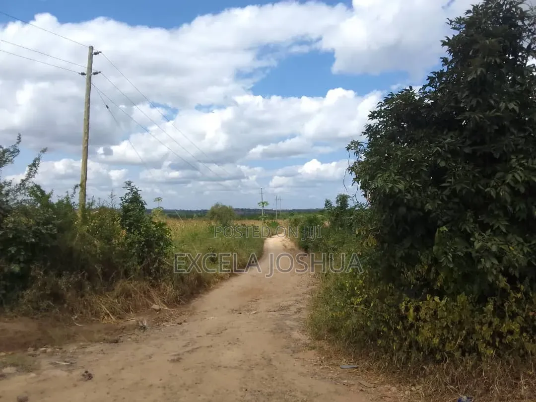 Eneo Limegusa Main Road Linauzwa Kiwangwa Bagamoyo