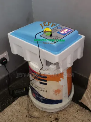 30 Eggs Incubator Automatic