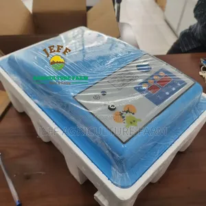 30 Eggs Incubator Automatic