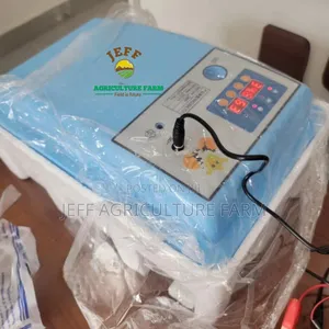 30 Eggs Incubator Automatic