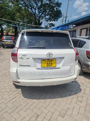 Toyota Vanguard 2009 White