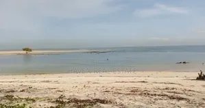 Beach Plot for Sale at Kigamboni Mwongozo