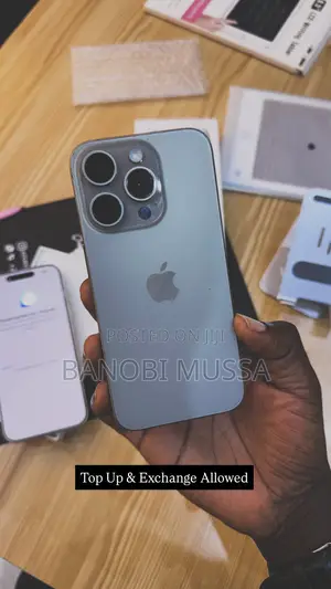 Apple iPhone 15 Pro Max 256 GB Gray