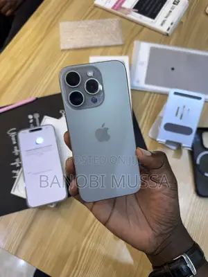 Apple iPhone 15 Pro Max 256 GB Gray