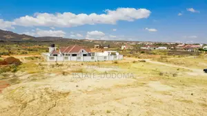 A Nice Plot Available for Sale at Mkalama Dodoma