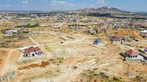 A Nice Plot Available for Sale at Mkalama Dodoma