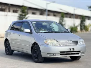 Toyota Allex 2004 Silver