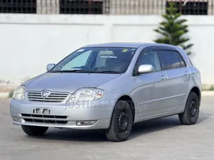 Toyota Allex 2004 Silver