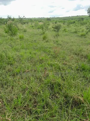 Shamba Hekari 55 Kigamboni Linauzwa