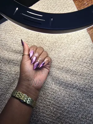 Hard Gel Stiletto Nails - Purple Cat Eye