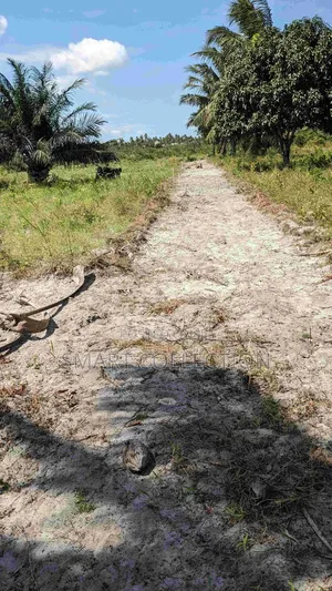 Viwanja Vikindu(Vianzi) Mtaa Wa Changanyikeni