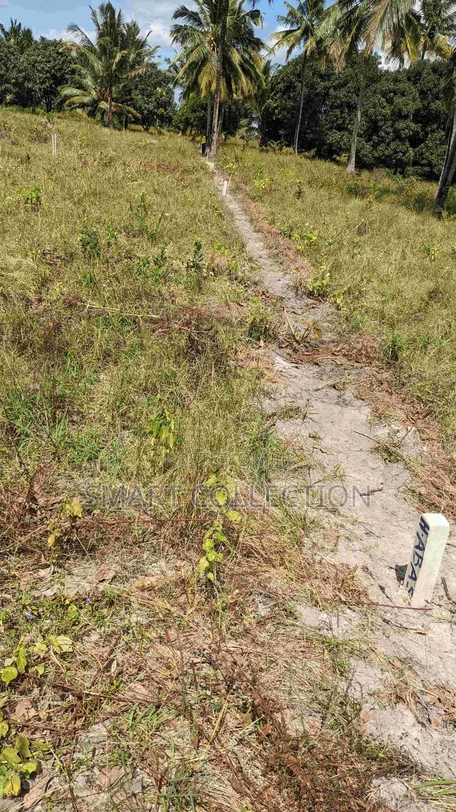 Viwanja Vikindu(Vianzi) Mtaa Wa Changanyikeni