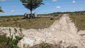 Viwanja Vikindu(Vianzi) Mtaa Wa Changanyikeni