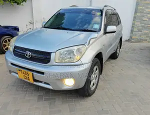 Toyota RAV4 Automatic 2004 Silver