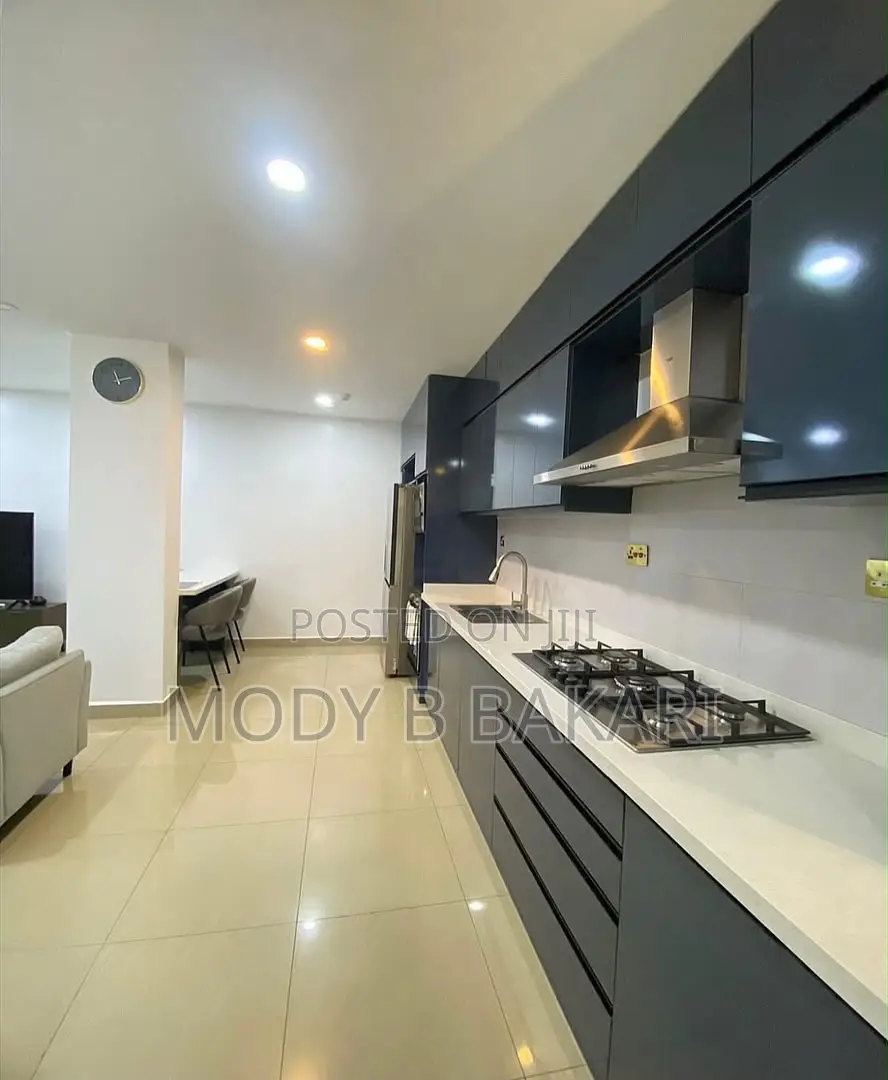Furnished 2bdrm Apartment in Upanga West for rent