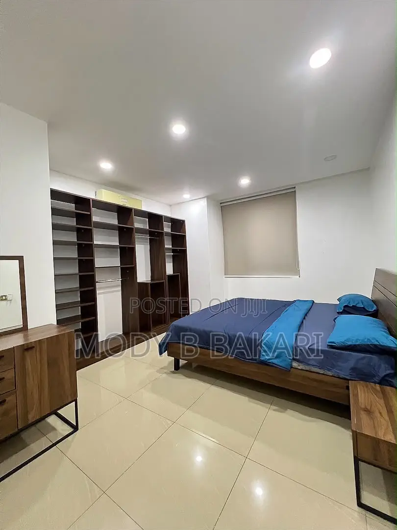 Furnished 2bdrm Apartment in Upanga West for rent