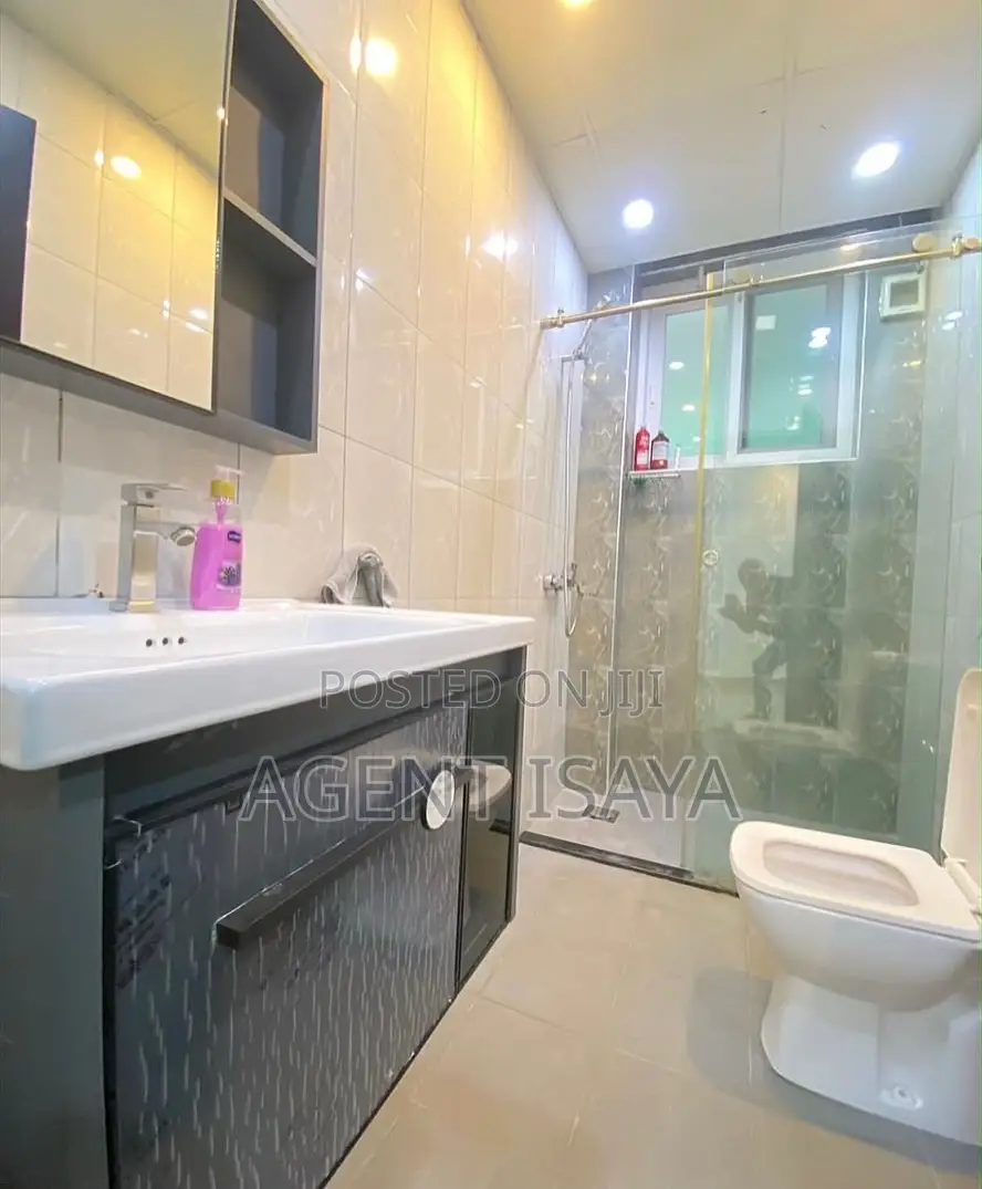 Furnished 2bdrm Apartment in Upanga West for rent