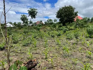 Eneo Zuri Na Kubwa Linauzwa Sangasanga, Morogoro