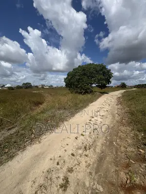 Kiwanja Kinauzwa Kisarawe Ii Kigamboni