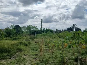 Plot for Sale at Chanika With Clean Title Deed 1000 SQM