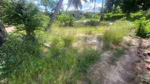 Plot for Sale at Chanika Nyeberu 484 SQM