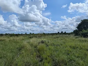 Plot for Sale at Makurunge 1 Acres