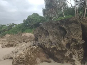 50 Acres Titled Beach Plot for Sale in Pangani Tanga