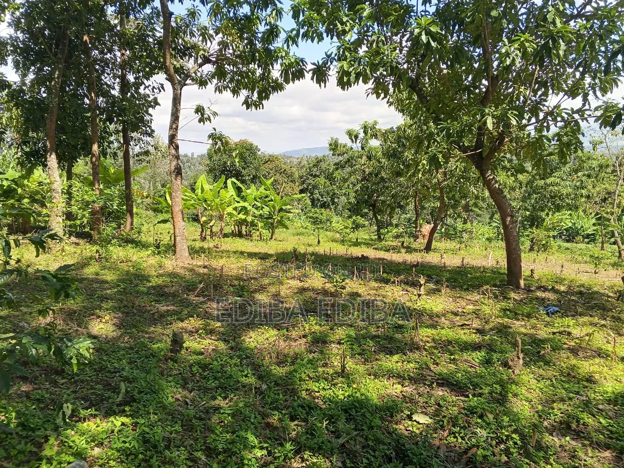 15 Acres Titled Plot for Sale in Arusha-Moshi Road
