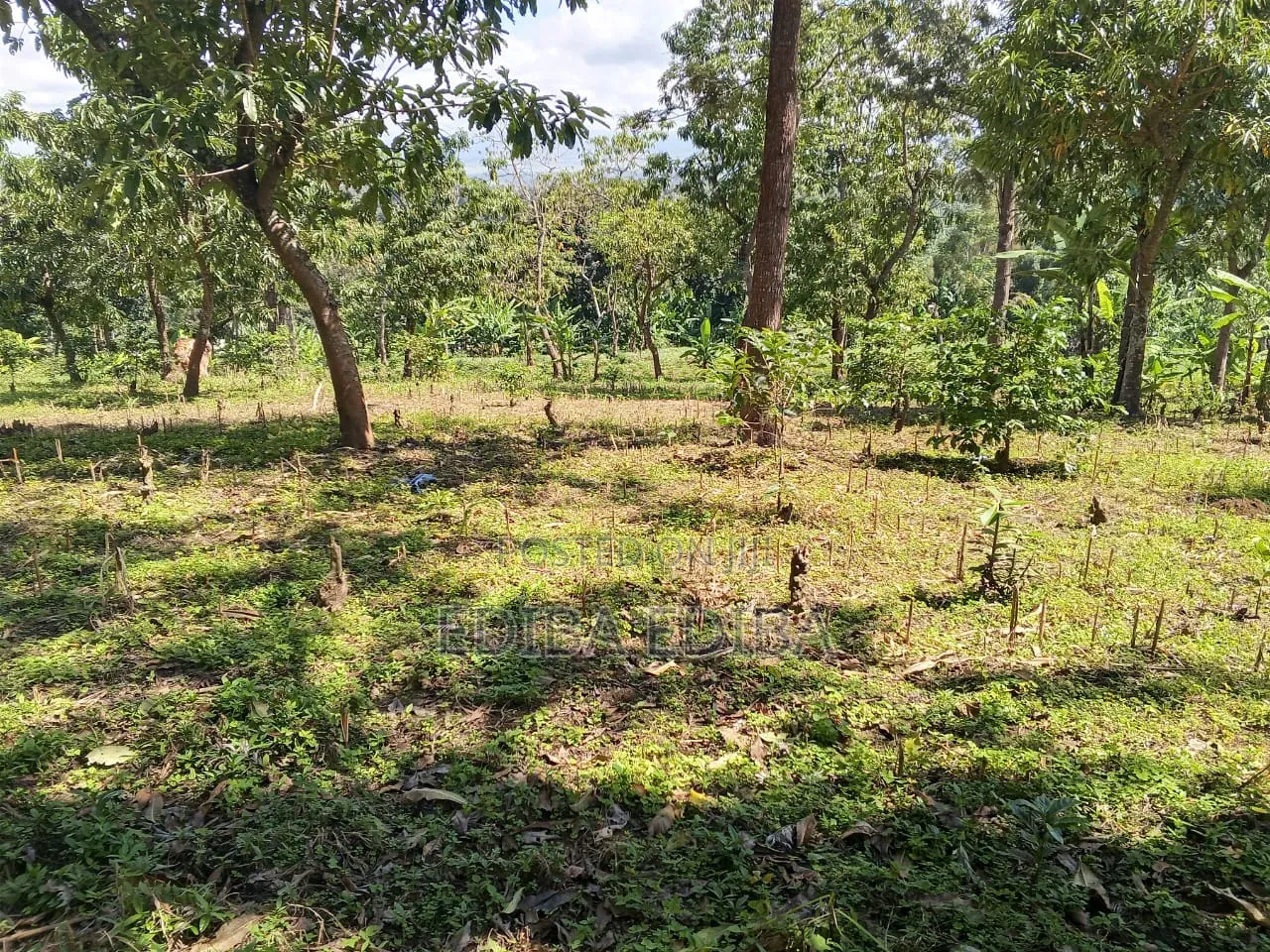 15 Acres Titled Plot for Sale in Arusha-Moshi Road