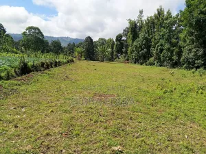 15 Acres Titled Plot for Sale in Arusha-Moshi Road